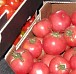 frische Tomaten - verschiedene Sorten